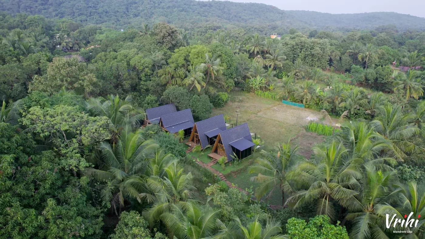 Vrihi from the air — A-frames set between farmland and palms