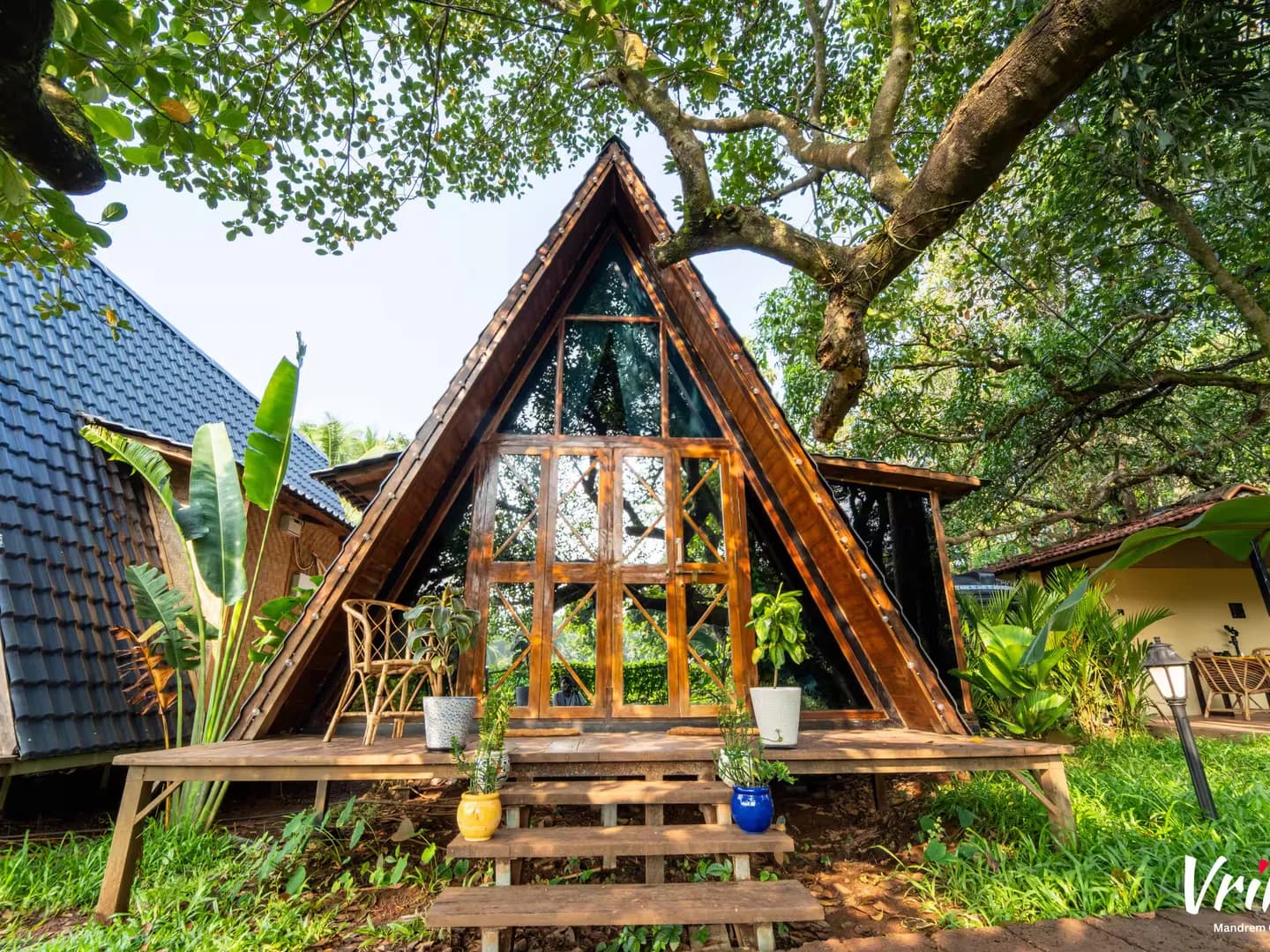One steep roof under one old tree